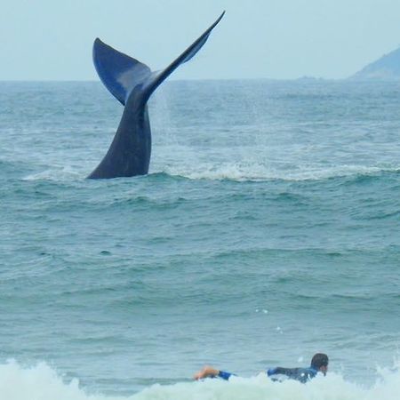 Tranquilidade Na Praia Da Gamboa Garopaba Bagian luar foto
